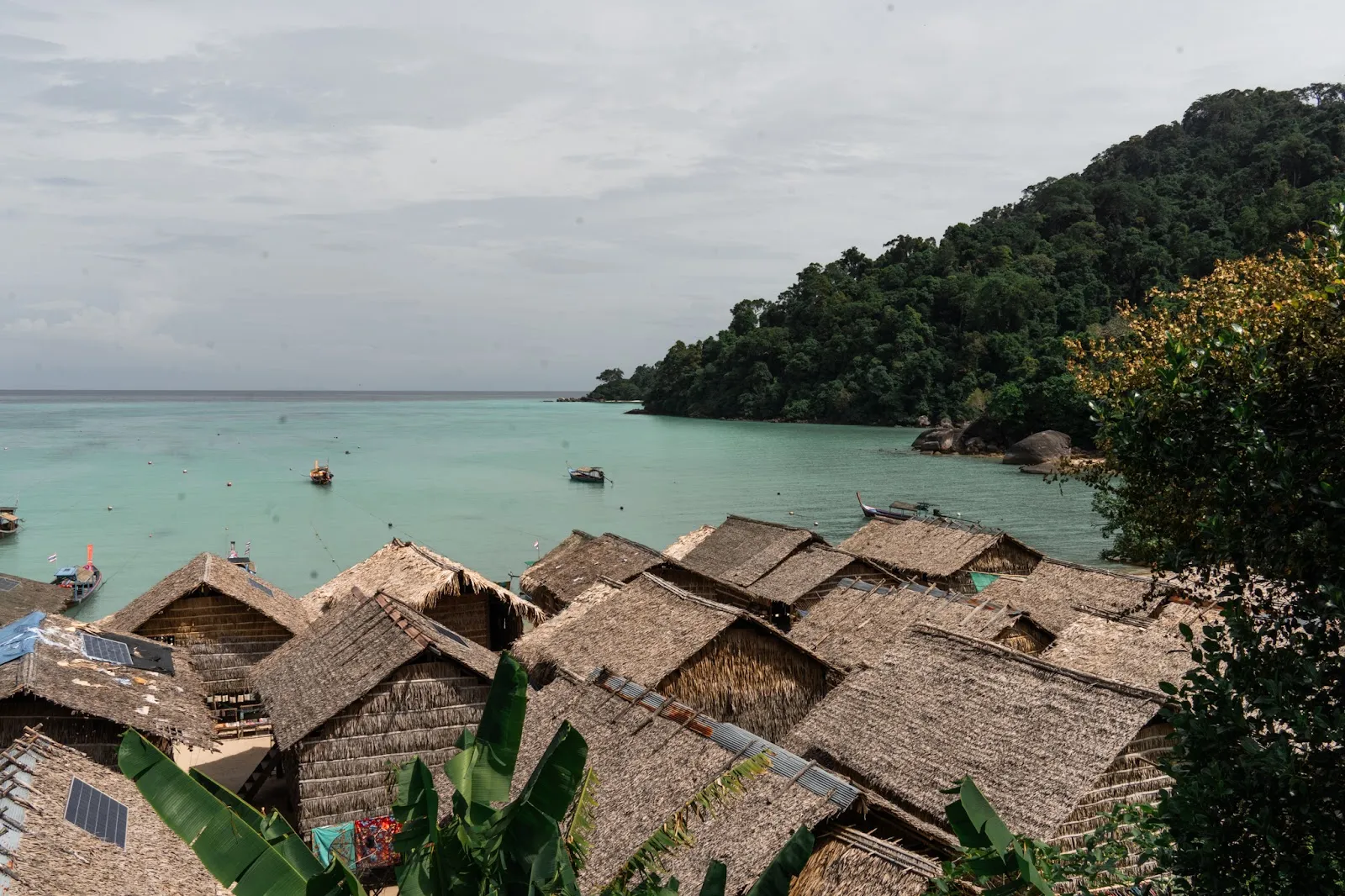 Culture's Survivial on the Surin Islands