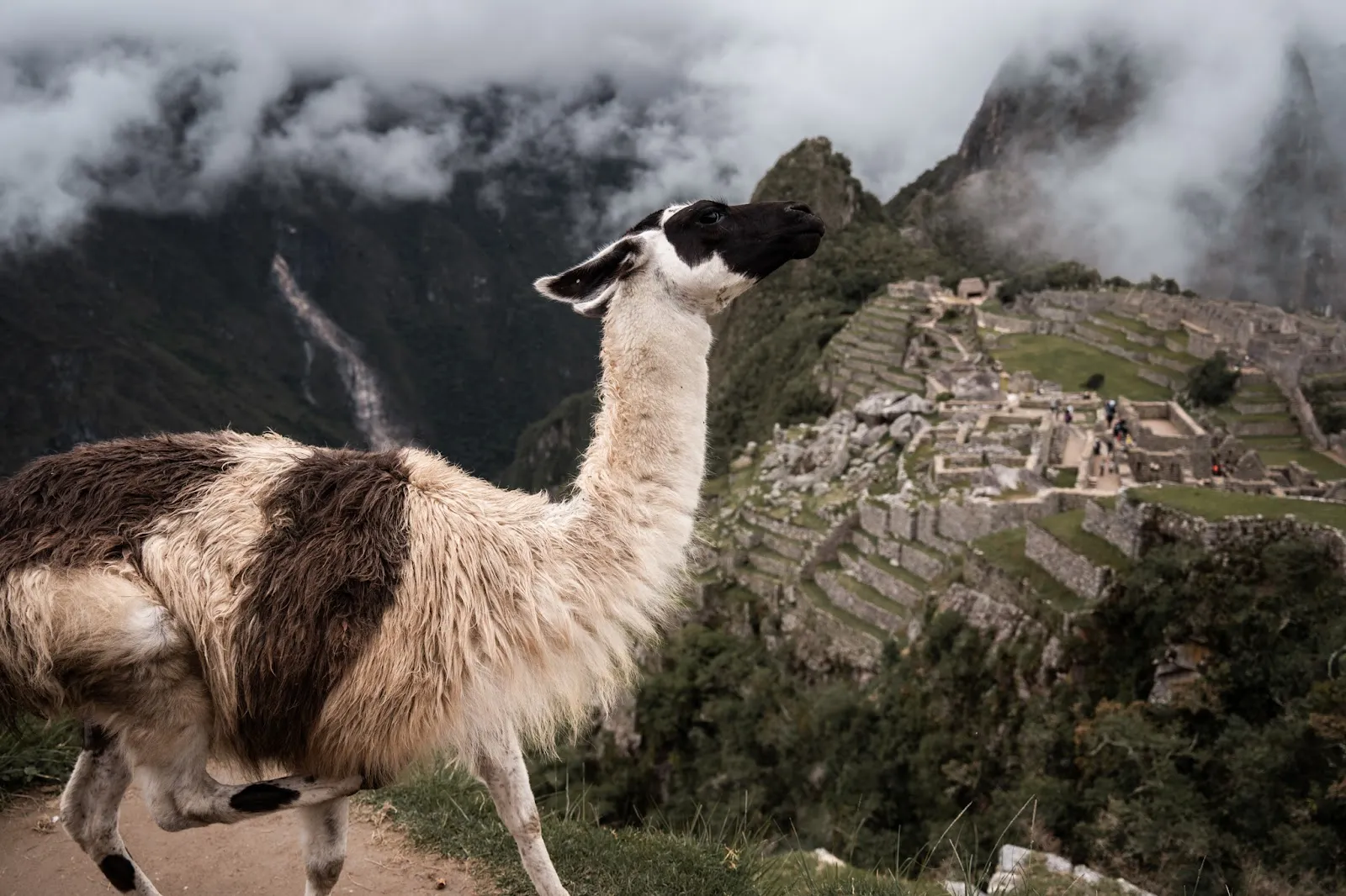 (Mis)Adventures in the Andes