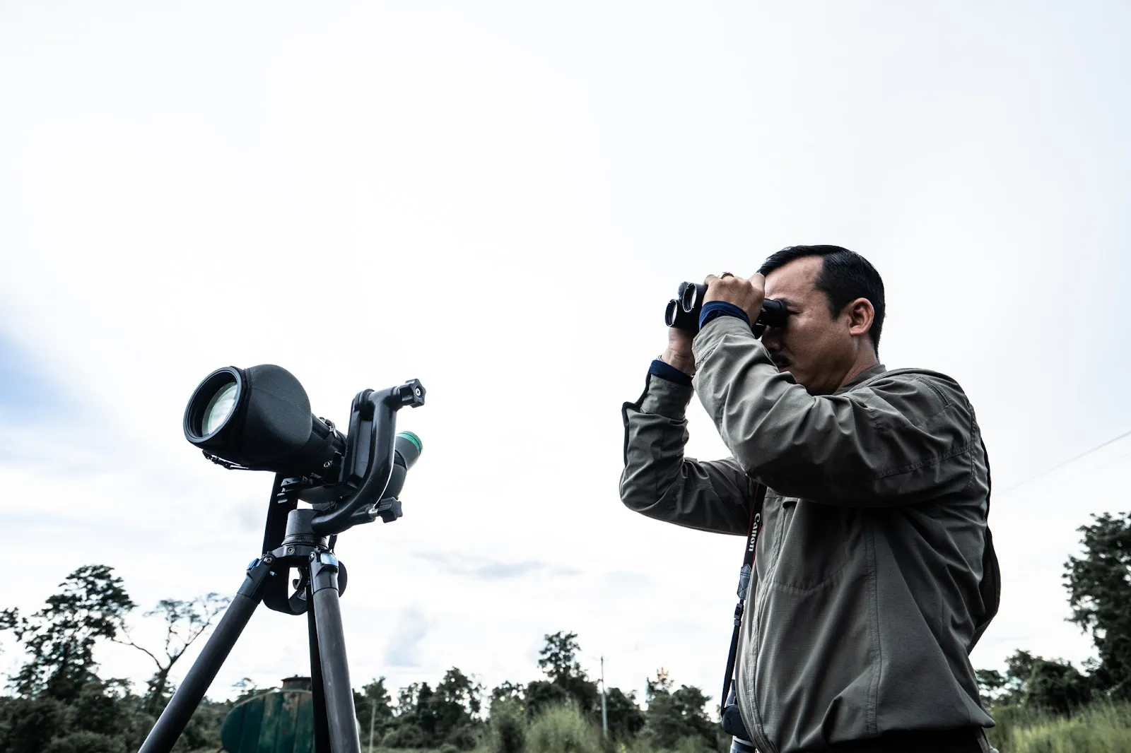 Becoming a Bird Watcher