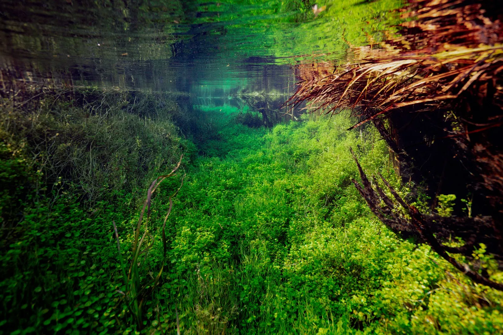 Secrets of the Underground