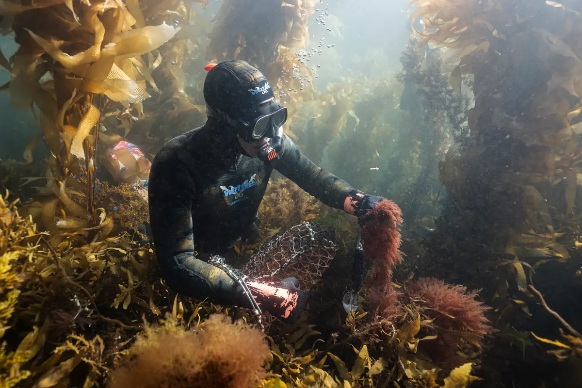 Edges of Earth expedition — Stewart Island, New Zealand