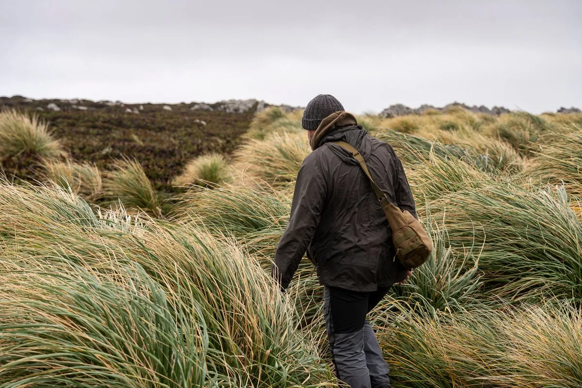 Falkland Islands / Malvinas