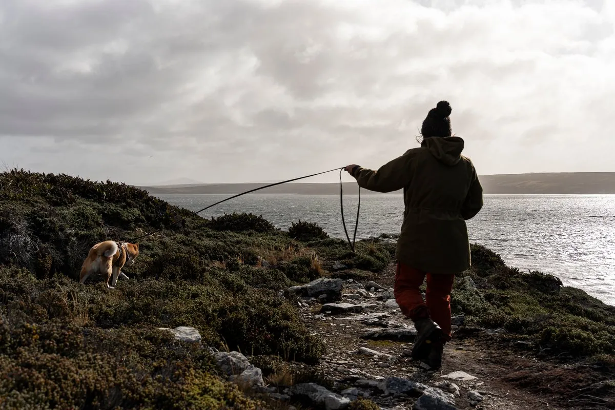 Falkland Islands / Malvinas