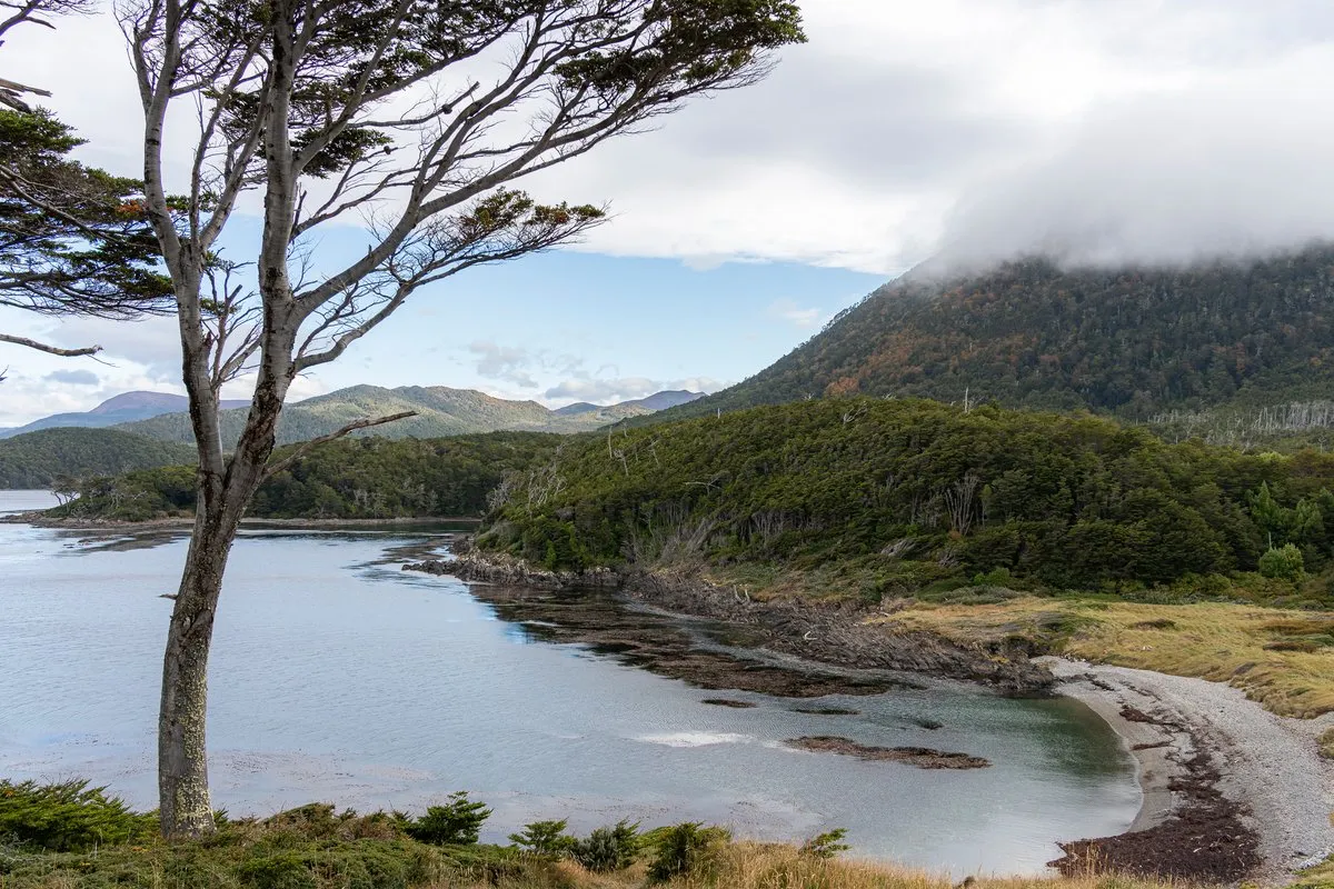 Cape Froward