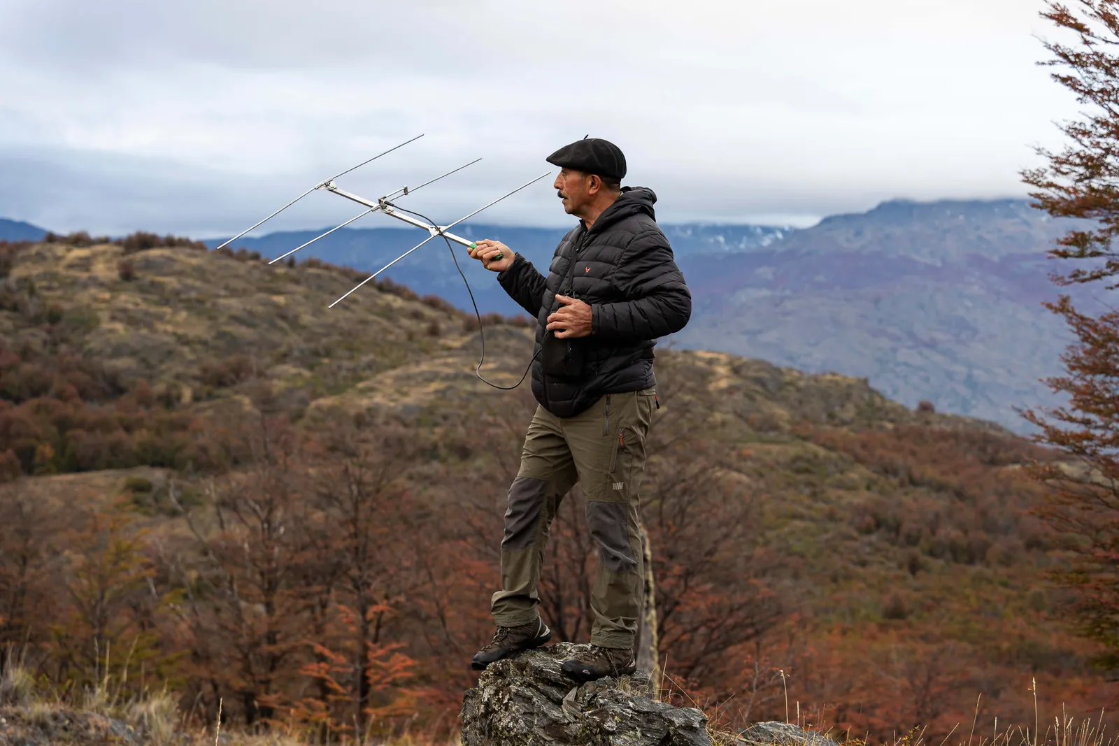 About Us Expeditions - Deer Tracking Chile