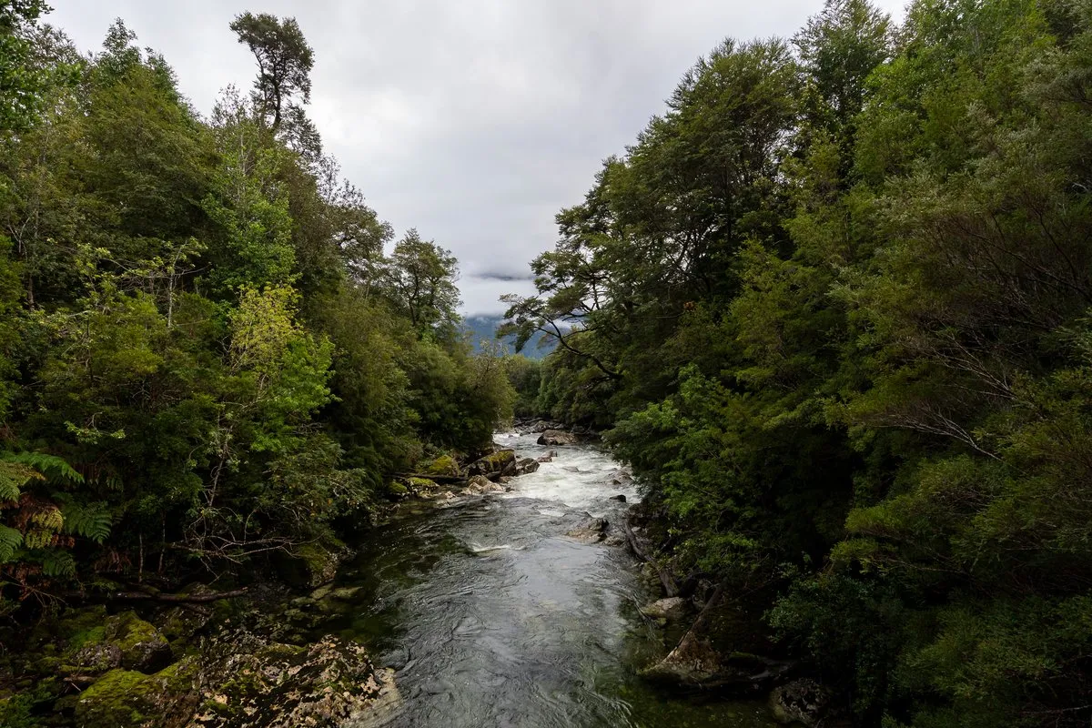 Pumalín