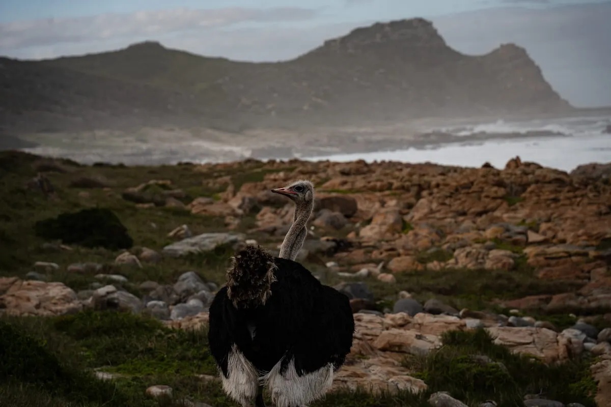 South Africa