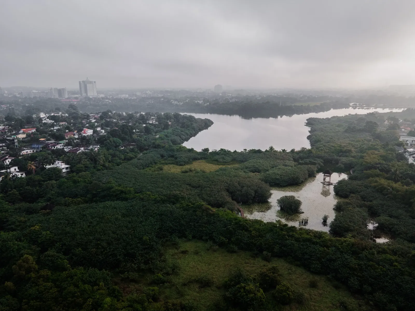 Sri Lanka's Lungs