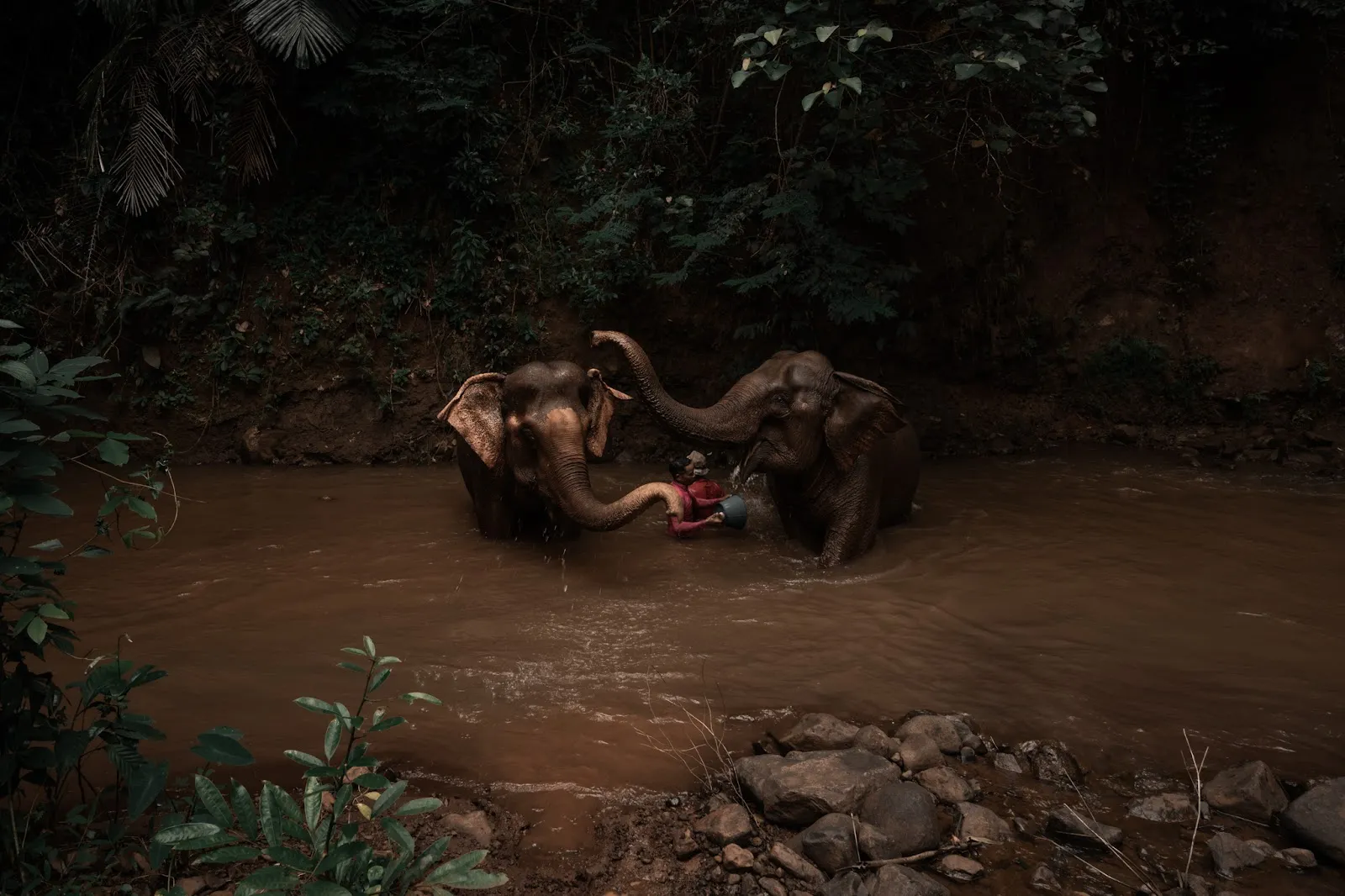 Habitat is Where the Heart Is
