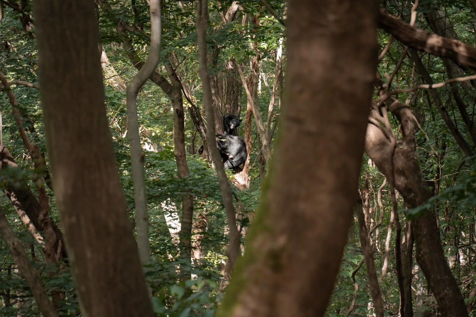 A Community Finding its Bearings