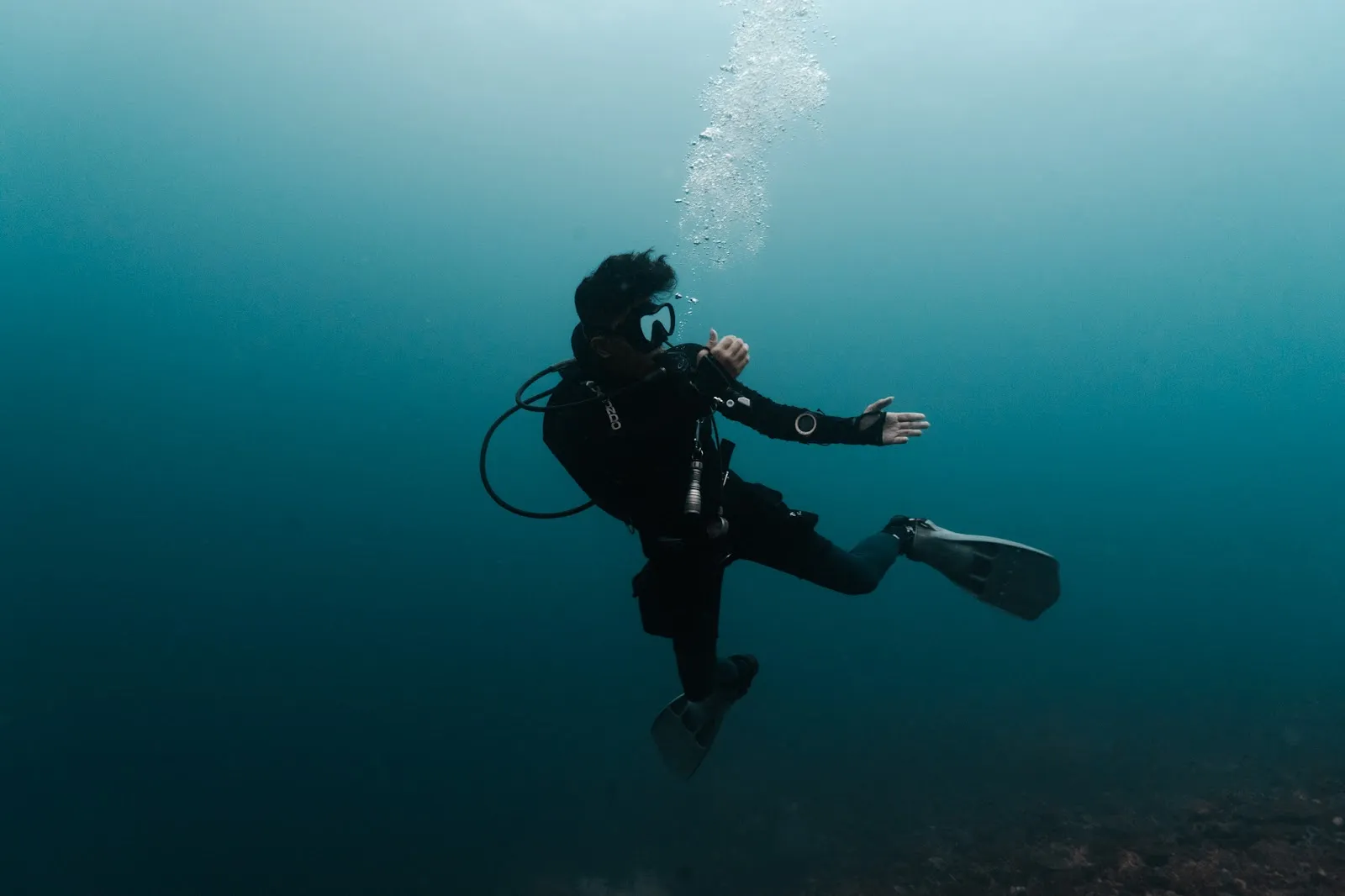 The Best Dive Ever